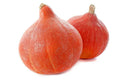 Red Kuri Squash Seeds - 25+ Pack - Cucurbita pepo - Ideal for Garden Planting - USA Grown