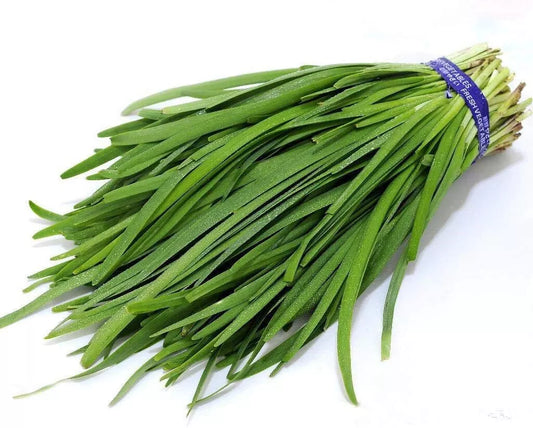 Chives Seeds 250 Count - Garlic Heirloom Variety - Allium tuberosum - GroCo USA - Ships Free