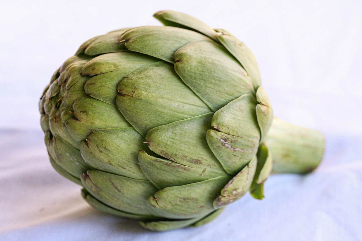 Artichoke Seeds - 5 Pack - Heirloom Variety - Cynara scolymus - Free USA Shipping