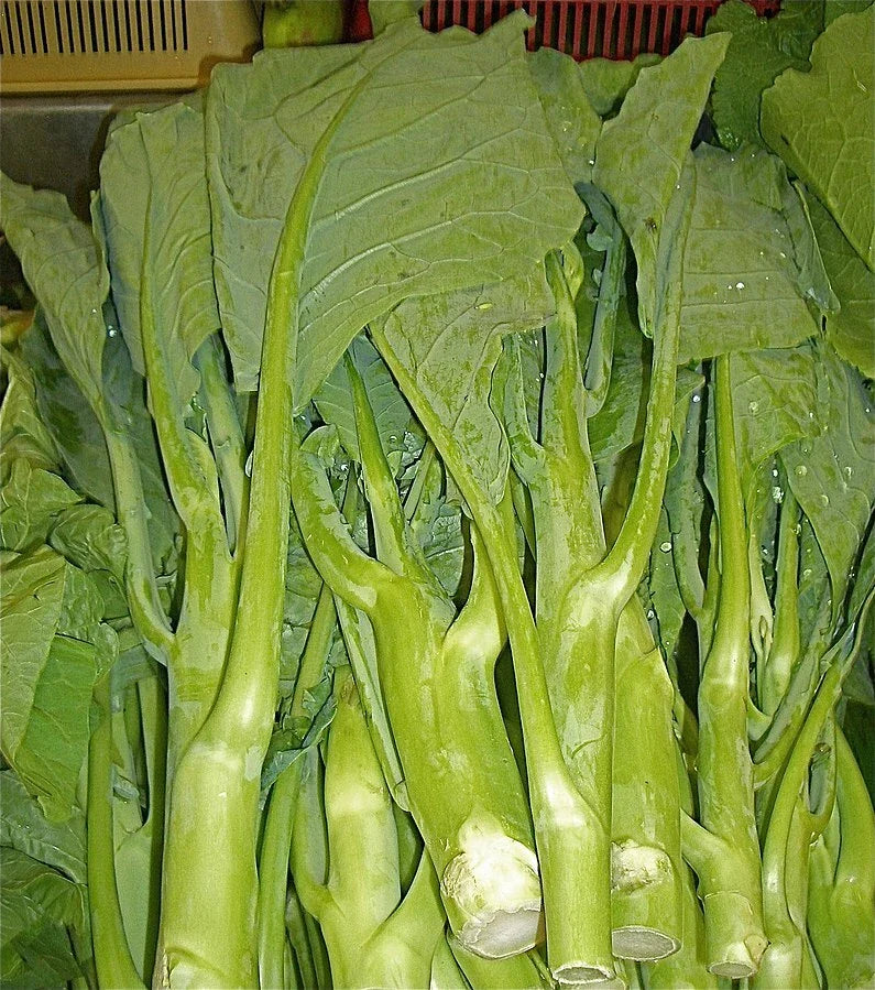 Heirloom KAILAAN Chinese Broccoli Kale Seeds - 250 Pack - Gai Lan Asian Green - Brassica oleracea var. alboglabra