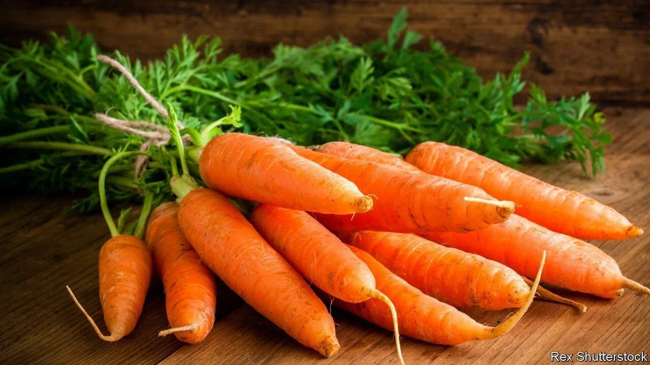 Carrot Seeds 50 Pack Non-GMO Heirloom Daucus carota