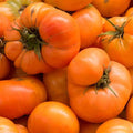 Amana Orange Tomato Seeds, Rare Heirloom, NON-GMO, Multiple Sizes, Solanum lycopersicum