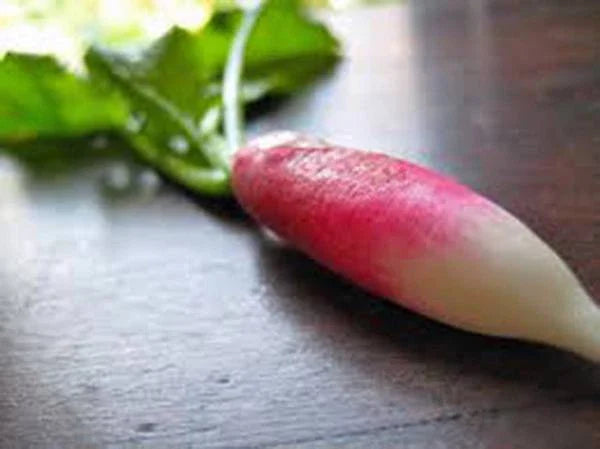 Heirloom Vegetable Seed Collection, 5 Varieties, Root Vegetables, Non-GMO Seeds for Home Garden