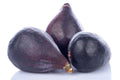 LSU Gold Fig 100 Seeds - Perfect for Garden Planting - Ficus carica