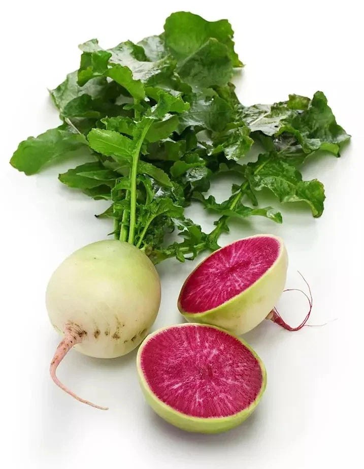 Watermelon Radish Seeds - 200+ Non-GMO Heirloom Organic - Raphanus sativus