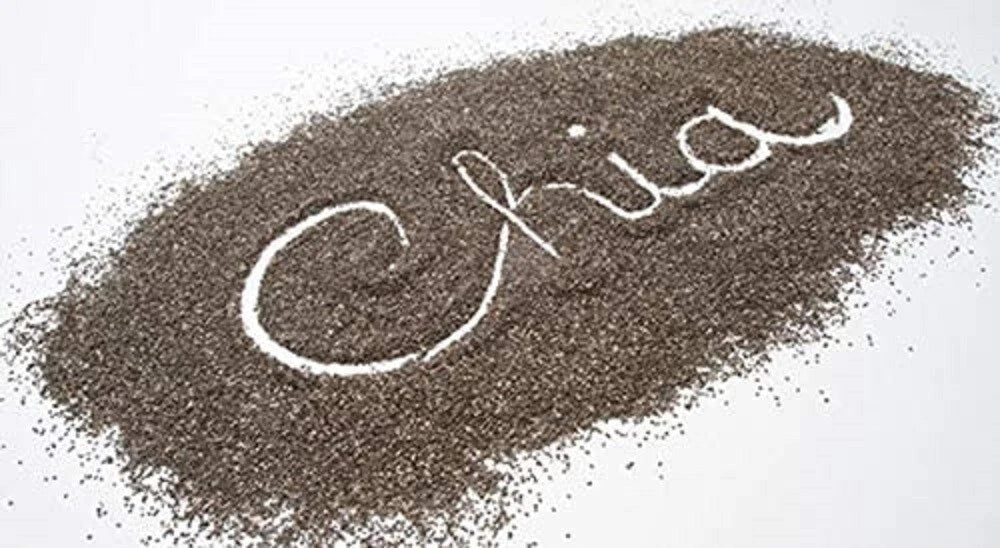Chia Seeds Microgreens Non-GMO Sprouting Seeds - Salvia hispanica