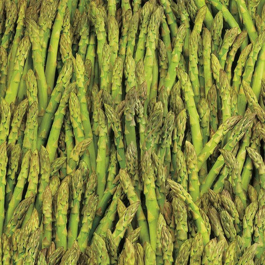 Asparagus Seeds 100+ Mary Washington Non-GMO Vegetable Garden Seeds - Asparagus officinalis