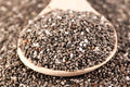 Chia Seeds, 12 Ounces, Microgreens and Sprouting, Salvia hispanica, Organic Superfood for Healthy Living