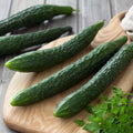 25+ Suyo Long Cucumber Seeds - Heirloom, Non-GMO, Rare Variety - Cucumis sativus