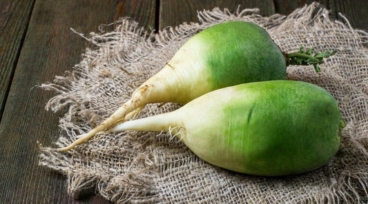 Chinese Green Luobo Radish Seeds - 500+ Pack for Garden Planting - Raphanus sativus - USA Grown, Free Shipping