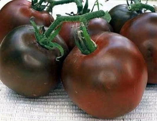 Black Prince Tomato Seeds - 30+ Heirloom Organic Non-GMO - Rare Variety - Solanum lycopersicum