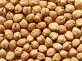 Garbanzo Bean Seeds 100 Count for Growing Chickpeas Cicer arietinum