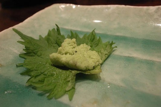 500 Non-GMO Green Shiso Seeds | Perilla frutescens | Beef Steak Plant | USA Seller