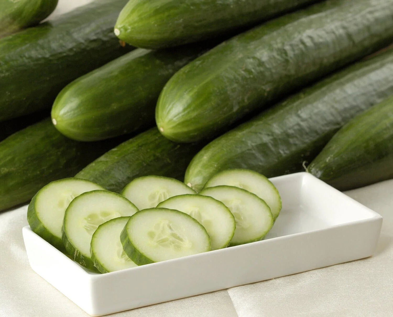 Ashley Long Cucumber Seeds - 50+ Heirloom Non-GMO Organic Seeds - Cucumis sativus