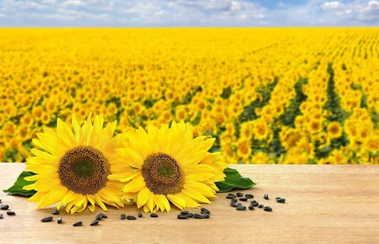Black Oil Sunflower Seeds for Planting - 200+ Seeds - Attract Birds - Helianthus annuus - Made in USA