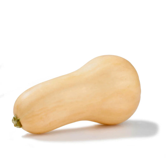 Butternut Squash Seeds - 10 Vegetable Seeds - Cucurbita moschata - Free USA Shipping