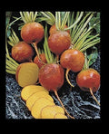Golden Beet Seeds - Heirloom Variety, Treated, 55 Days, Burpee's - 30/100/200/400 Bulk