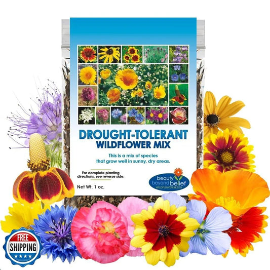 Drought Resistant Wildflower Seeds - 1oz Bulk - Open-Pollinated Flower Seed Mix - Native Wildflowers