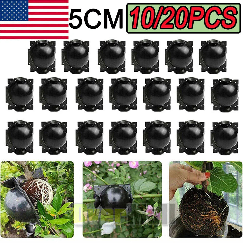 Plant Rooting Devices 10/20X High Pressure Propagation Box for Grafting, Plant Growth, Rooting Balls