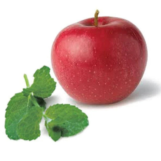 Apple Mint Seeds - 1000 Seeds - Medicinal Herb - Aromatic - Butterfly Magnet (Mentha suaveolens)