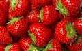 Jewel Strawberry Plants - 5 Root Clusters - Junebearing - Fragaria × ananassa - Hardy Zone 4-8