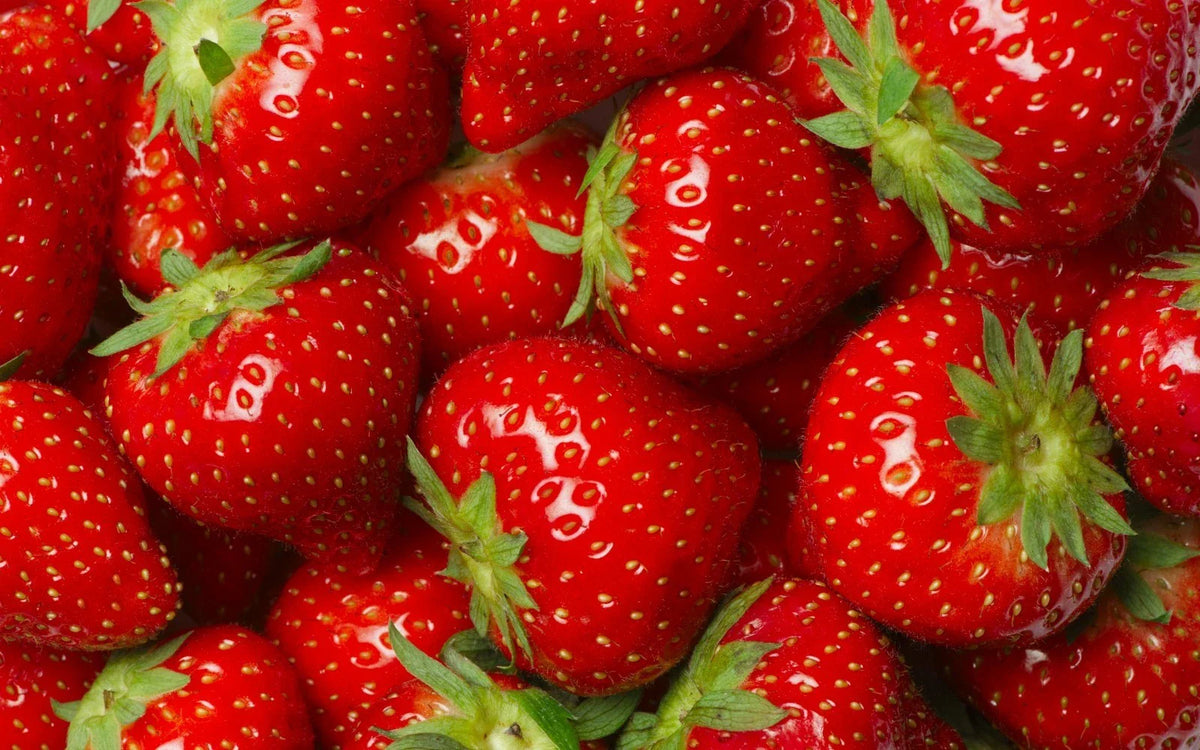 Jewel Strawberry Plants - 5 Root Clusters - Junebearing - Fragaria × ananassa - Hardy Zone 4-8