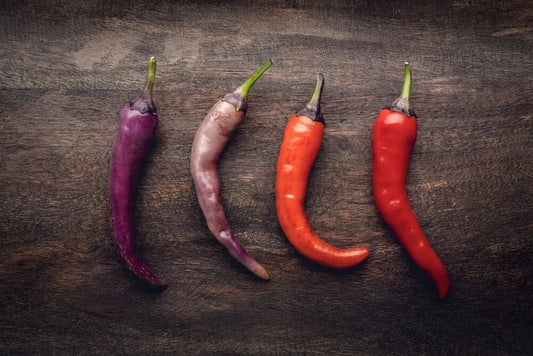 Buena Mulata Pepper Seeds - 50+ Seeds - Versatile Edible Pepper for Planting - Capsicum annuum