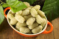 50+ White Mulberry Tree Seeds - Morus Alba - Non-GMO, Organic Seeds, Grown and Shipped Fresh