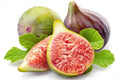 Celeste Fig Seeds - 100+ Count for Garden Planting - Ficus carica - USA Grown - Free Shipping