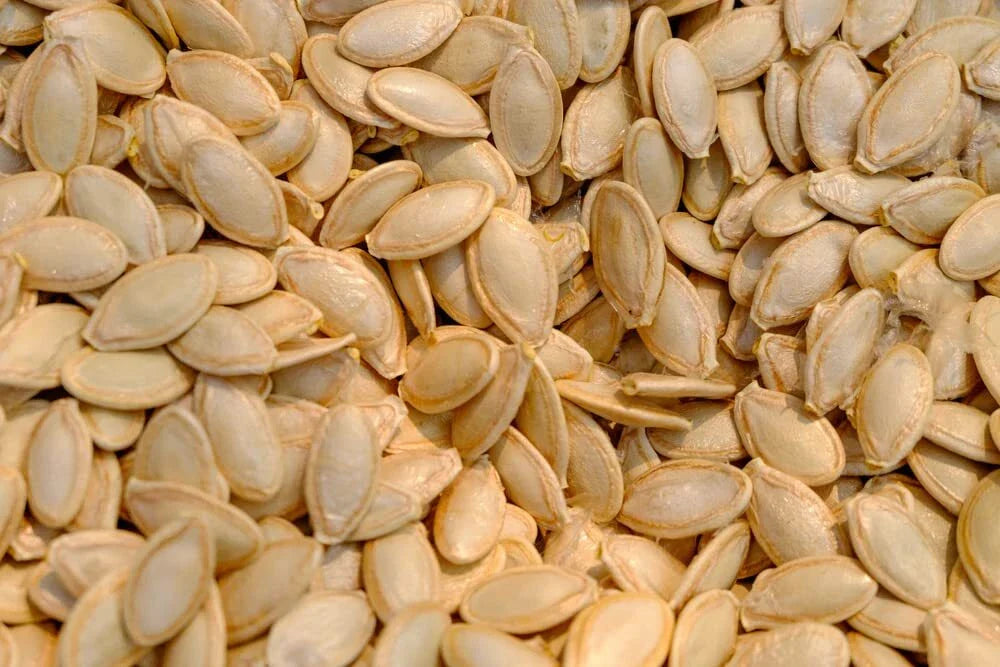 Delicata Squash Seeds for Planting (20 Seeds) - Jester Variety - Cucurbita Pepo