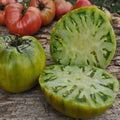 Cherokee Green Tomato Seeds - 10+ Heirloom Non-GMO Seeds - Rare Variety - Perfect for Home Gardening