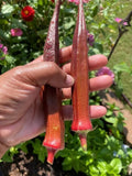 25+ Red Burgundy Okra Seeds - Non-GMO Heirloom Variety - Fresh Organic Seeds for Gardening (Abelmoschus esculentus)