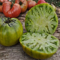 Cherokee Green Tomato Seeds - 120+ Heirloom Organic NON-GMO - Rare Variety - Perfect for Home Garden