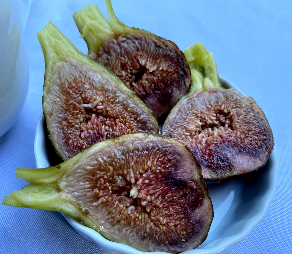 Violetta Fig Cuttings Cold Hardy, Ficus carica Unrooted Scions for Propagation and Rooting Set of 4